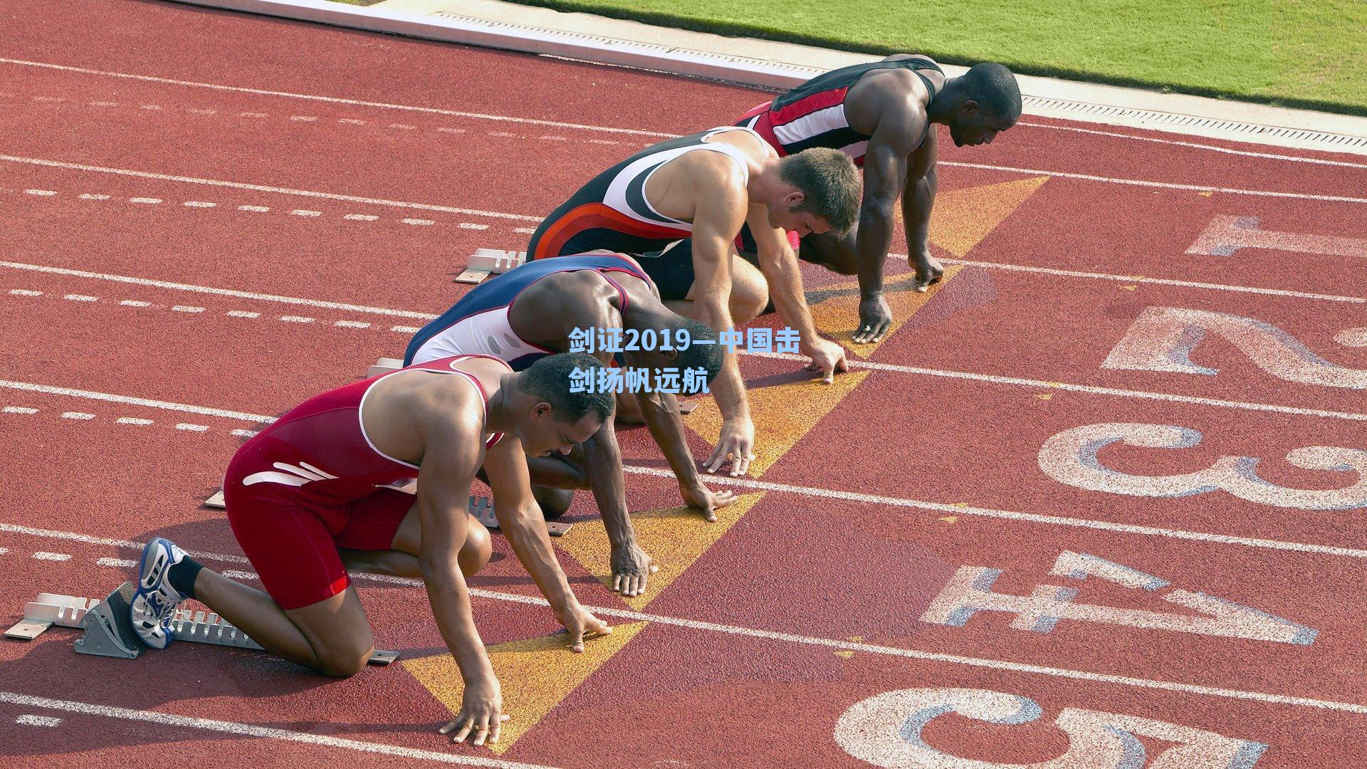 剑证2019—中国击剑扬帆远航